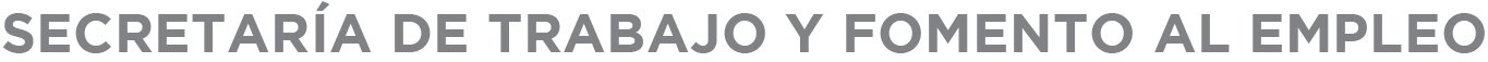 Logotipo de la STyFE